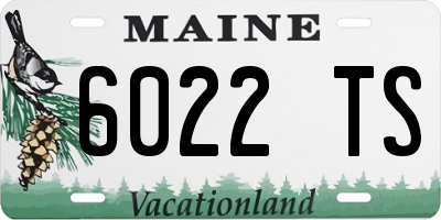 ME license plate 6022TS