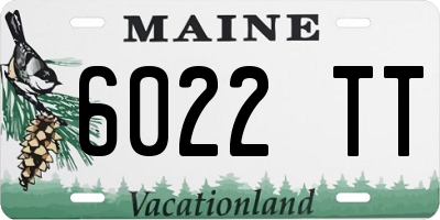 ME license plate 6022TT