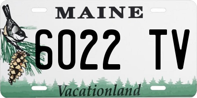 ME license plate 6022TV