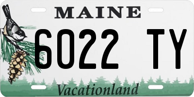 ME license plate 6022TY