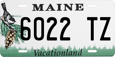 ME license plate 6022TZ