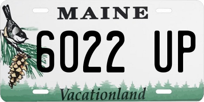 ME license plate 6022UP