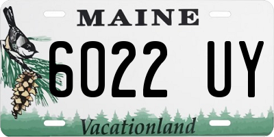 ME license plate 6022UY