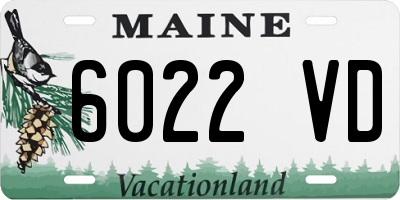 ME license plate 6022VD