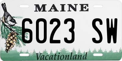 ME license plate 6023SW
