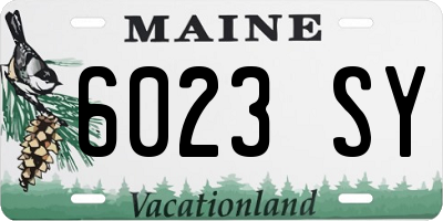 ME license plate 6023SY