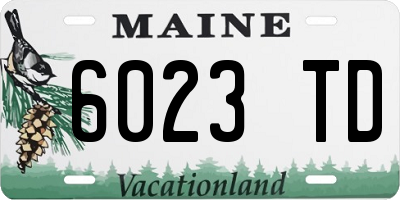 ME license plate 6023TD