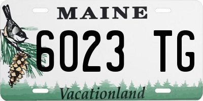 ME license plate 6023TG