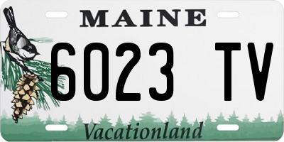 ME license plate 6023TV