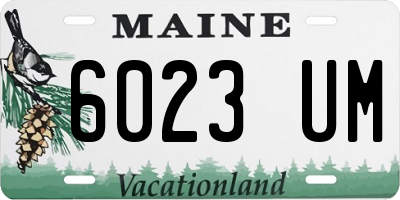 ME license plate 6023UM