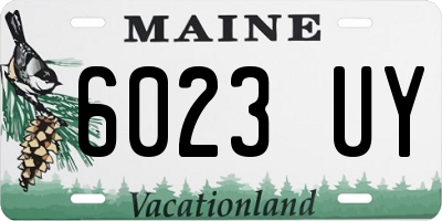 ME license plate 6023UY