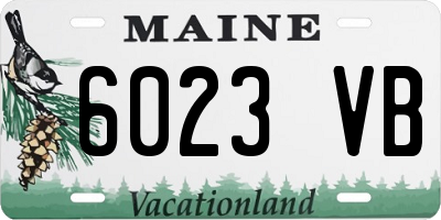 ME license plate 6023VB