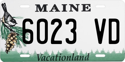 ME license plate 6023VD