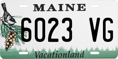 ME license plate 6023VG