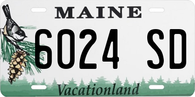 ME license plate 6024SD