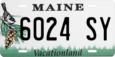 ME license plate 6024SY