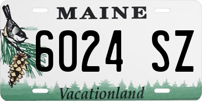 ME license plate 6024SZ