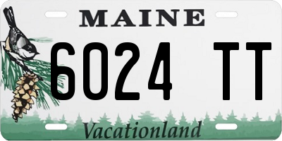 ME license plate 6024TT