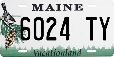 ME license plate 6024TY