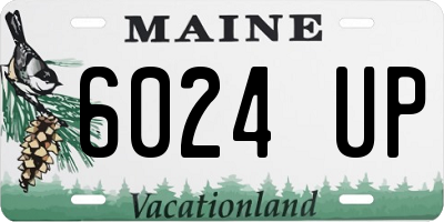 ME license plate 6024UP