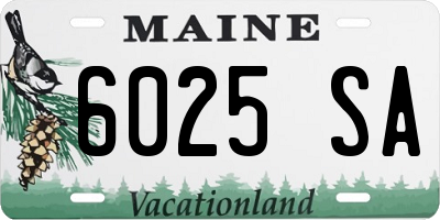 ME license plate 6025SA