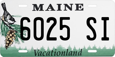 ME license plate 6025SI