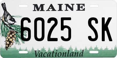 ME license plate 6025SK