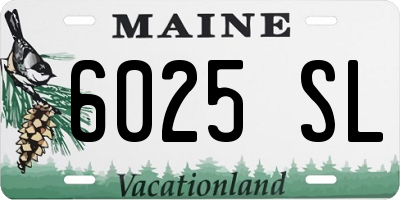 ME license plate 6025SL