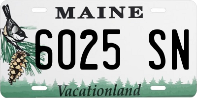 ME license plate 6025SN