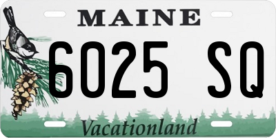 ME license plate 6025SQ