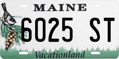 ME license plate 6025ST