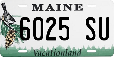 ME license plate 6025SU