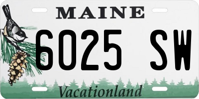 ME license plate 6025SW