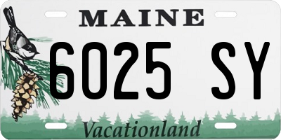 ME license plate 6025SY