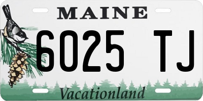 ME license plate 6025TJ