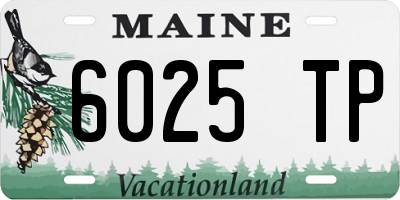 ME license plate 6025TP