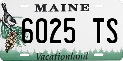 ME license plate 6025TS