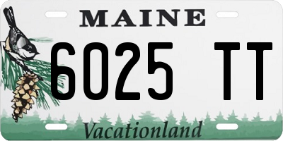 ME license plate 6025TT
