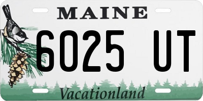 ME license plate 6025UT