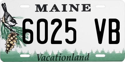 ME license plate 6025VB