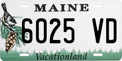 ME license plate 6025VD