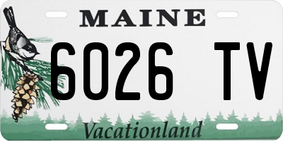 ME license plate 6026TV