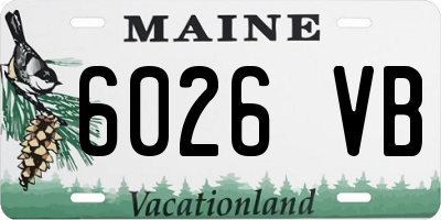 ME license plate 6026VB