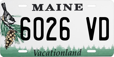 ME license plate 6026VD