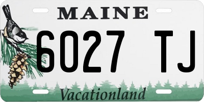 ME license plate 6027TJ