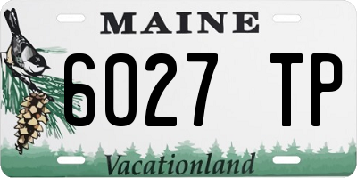 ME license plate 6027TP