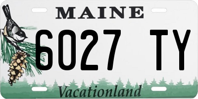 ME license plate 6027TY