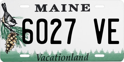 ME license plate 6027VE