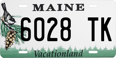 ME license plate 6028TK