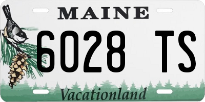 ME license plate 6028TS